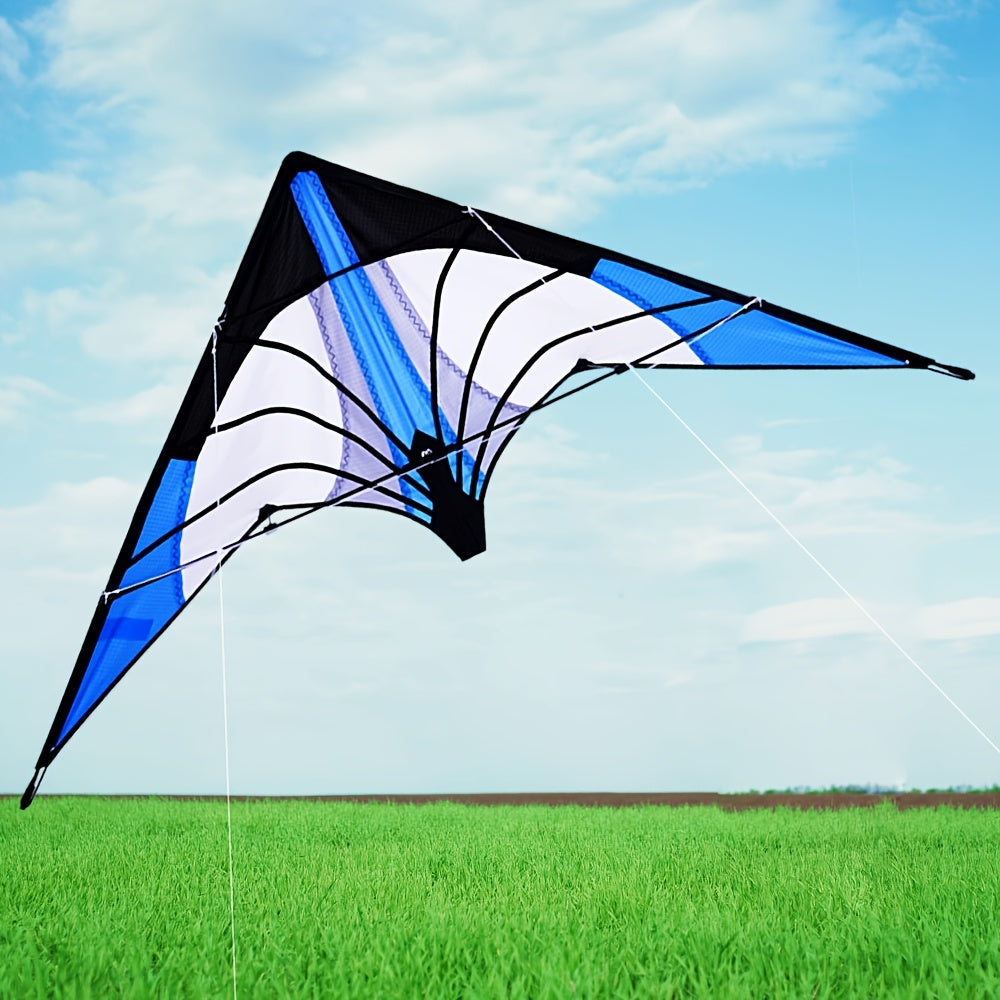 Cerf-volant avec poignée et ligne pour les sports de plein air, bon vol pour les débutants et les pros