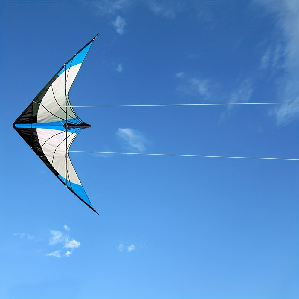 Cerf-volant avec poignée et ligne pour les sports de plein air, bon vol pour les débutants et les pros