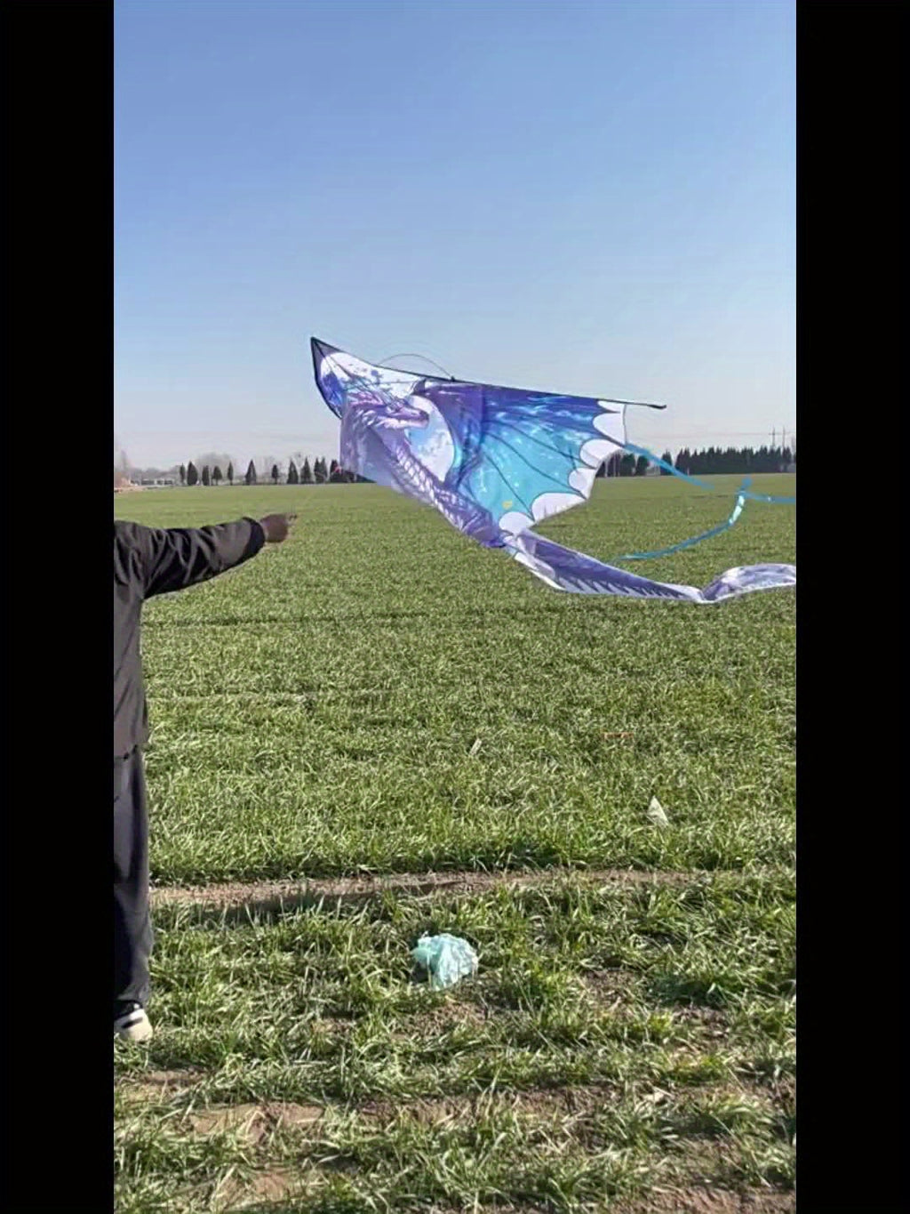 Cerf-volant Dragon de Glace Mystique - Coupe 3D, Polyester Résistant, Idéal pour les Loisirs en Extérieur (Plage & Parc), Cadeau Créatif pour les Fêtes, Parfait pour Noël et Thanksgiving