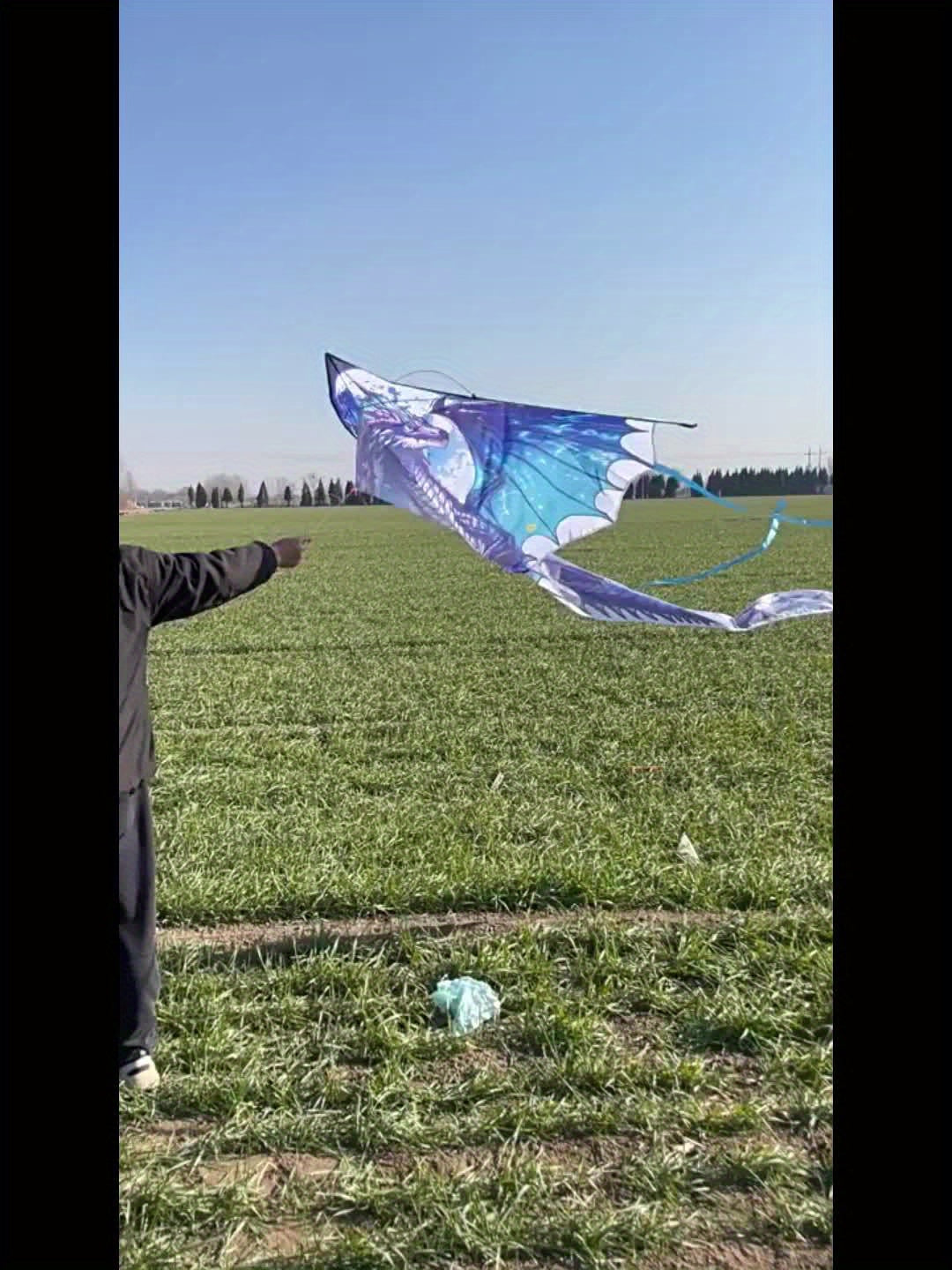 Cerf-volant Dragon de Glace Mystique - Coupe 3D, Polyester Résistant, Idéal pour les Loisirs en Extérieur (Plage & Parc), Cadeau Créatif pour les Fêtes, Parfait pour Noël et Thanksgiving