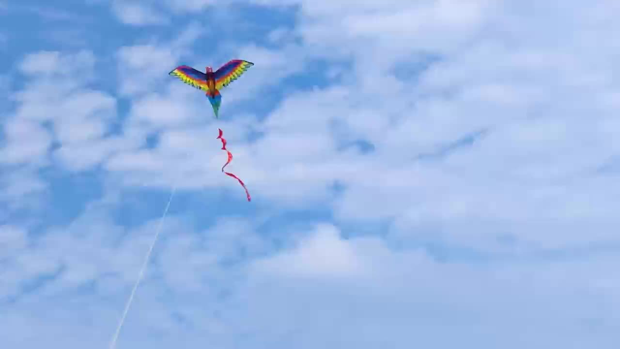 Cerf-volant perroquet 3D à une seule ligne avec queue et poignée, conçu pour le vol en extérieur, adapté aux adultes.
